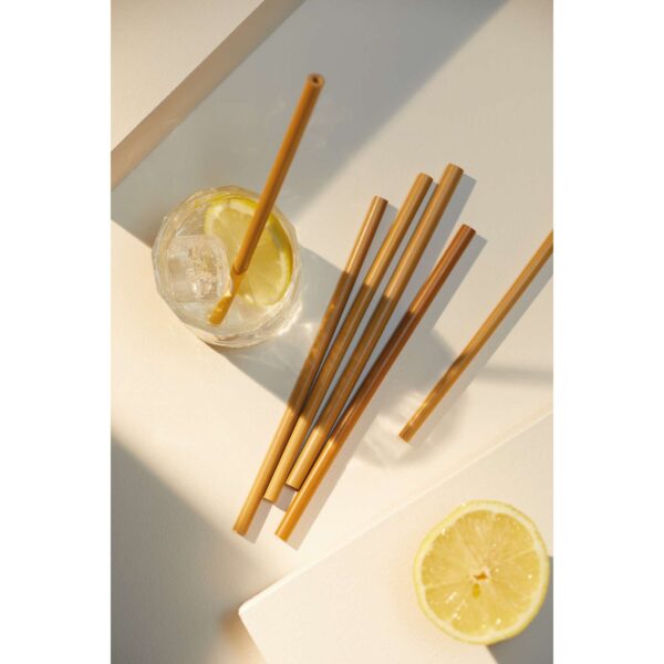 Natural Elements Eco-Friendly Bamboo Straws Pack of 10