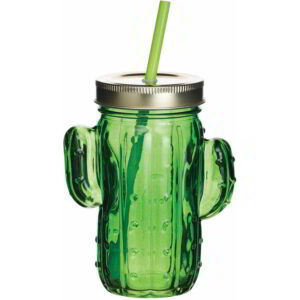 BarCraft 400ml Glass Cactus Drinks Jar with Straw