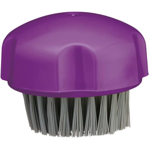 Colourworks Brights Vegetable and Cleaning Brush