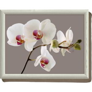 Sülekandik MDF 43.8x33.8cm 'orchid harmony' Premium